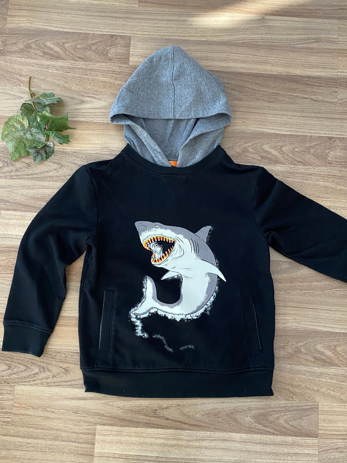 Pullover Hooded Sweater (Boys Size 4-5)