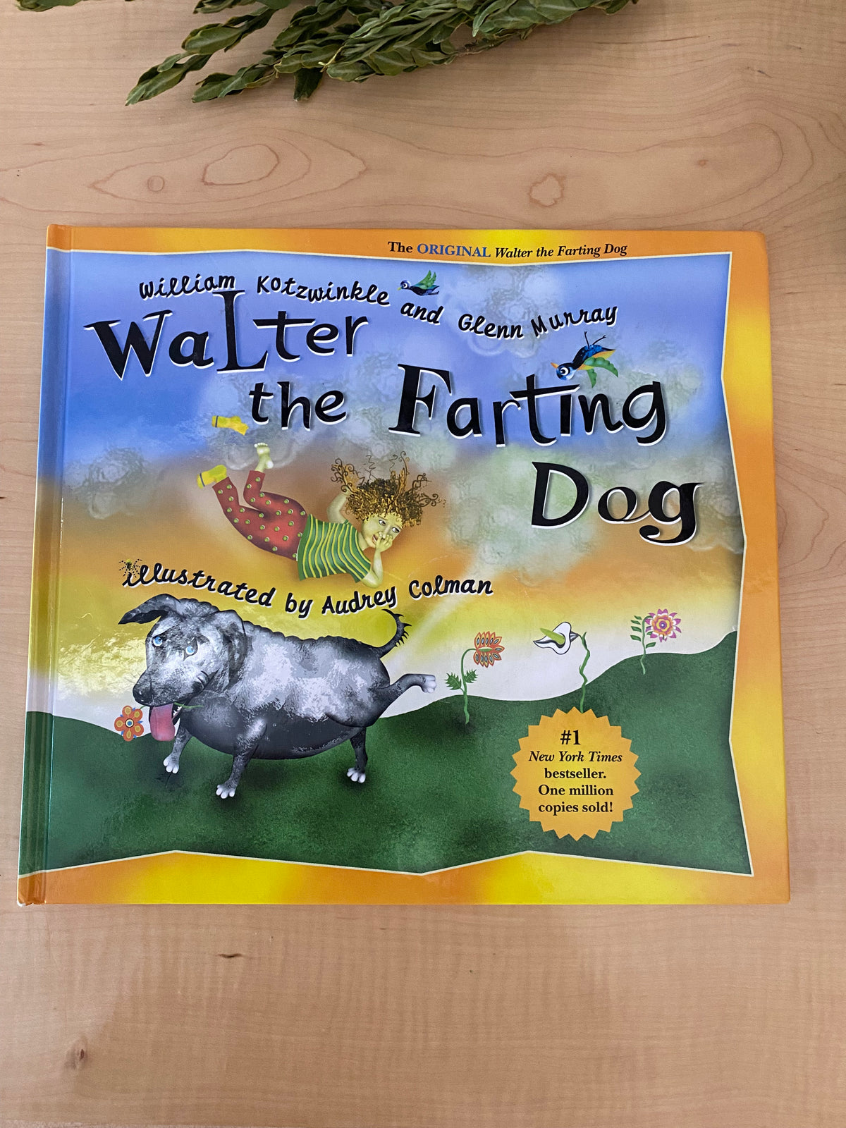 BOOK - WALTER THE FARTING DOG