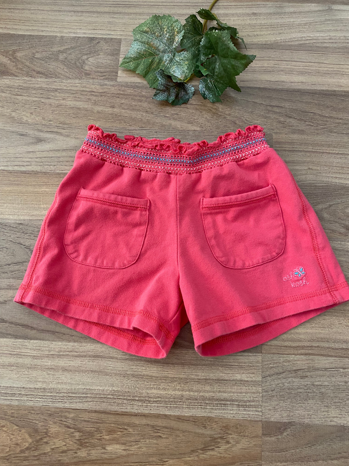 Shorts (Girls Size 5)