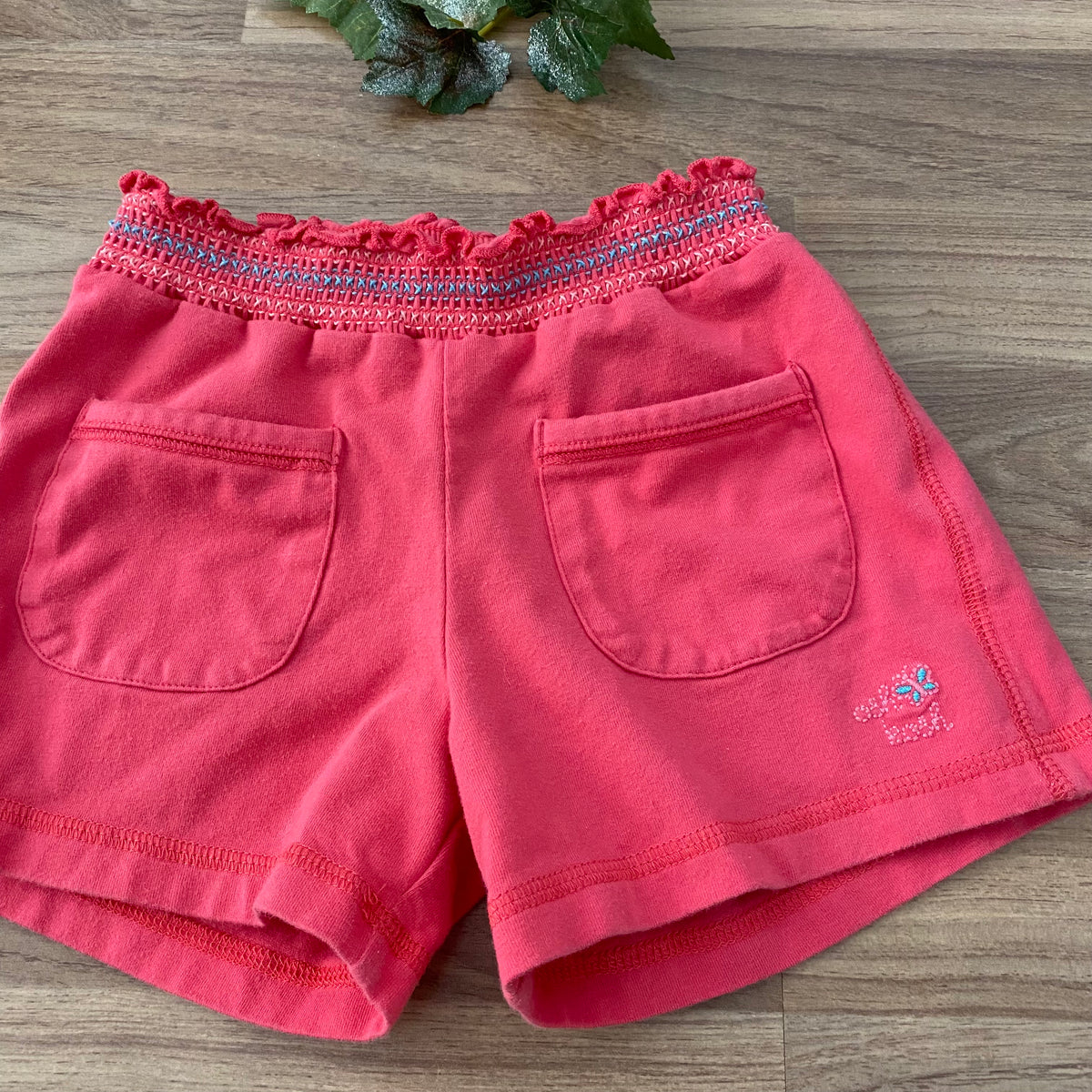 Shorts (Girls Size 5)