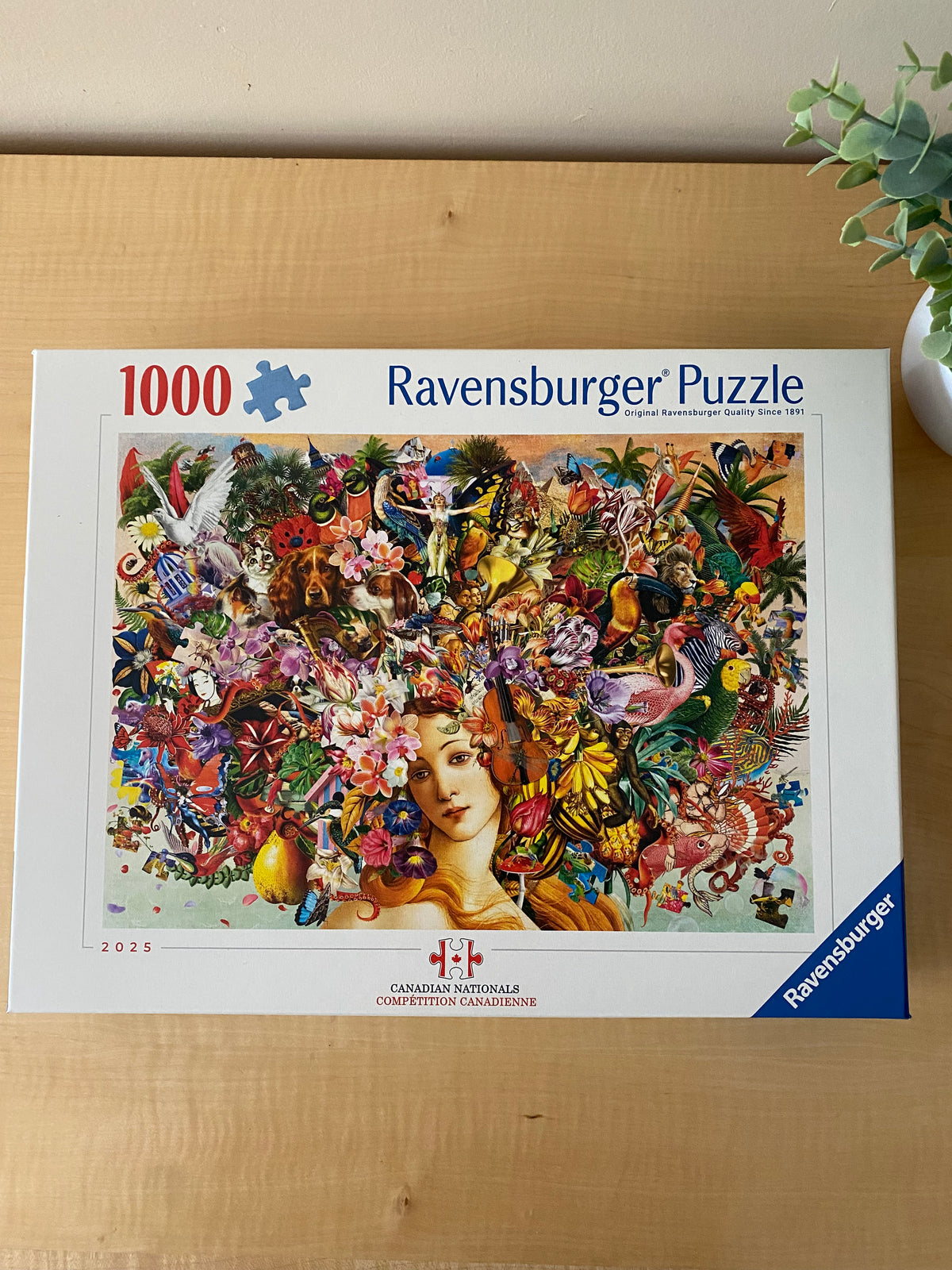 CANADIAN NATIONALS PUZZLE - 1000 PIECES