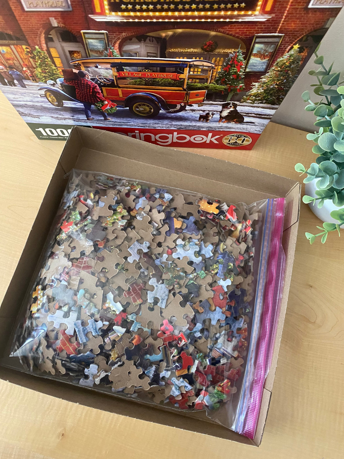VILLAGE PLAYHOUSE PUZZLE - 1000 PIECES