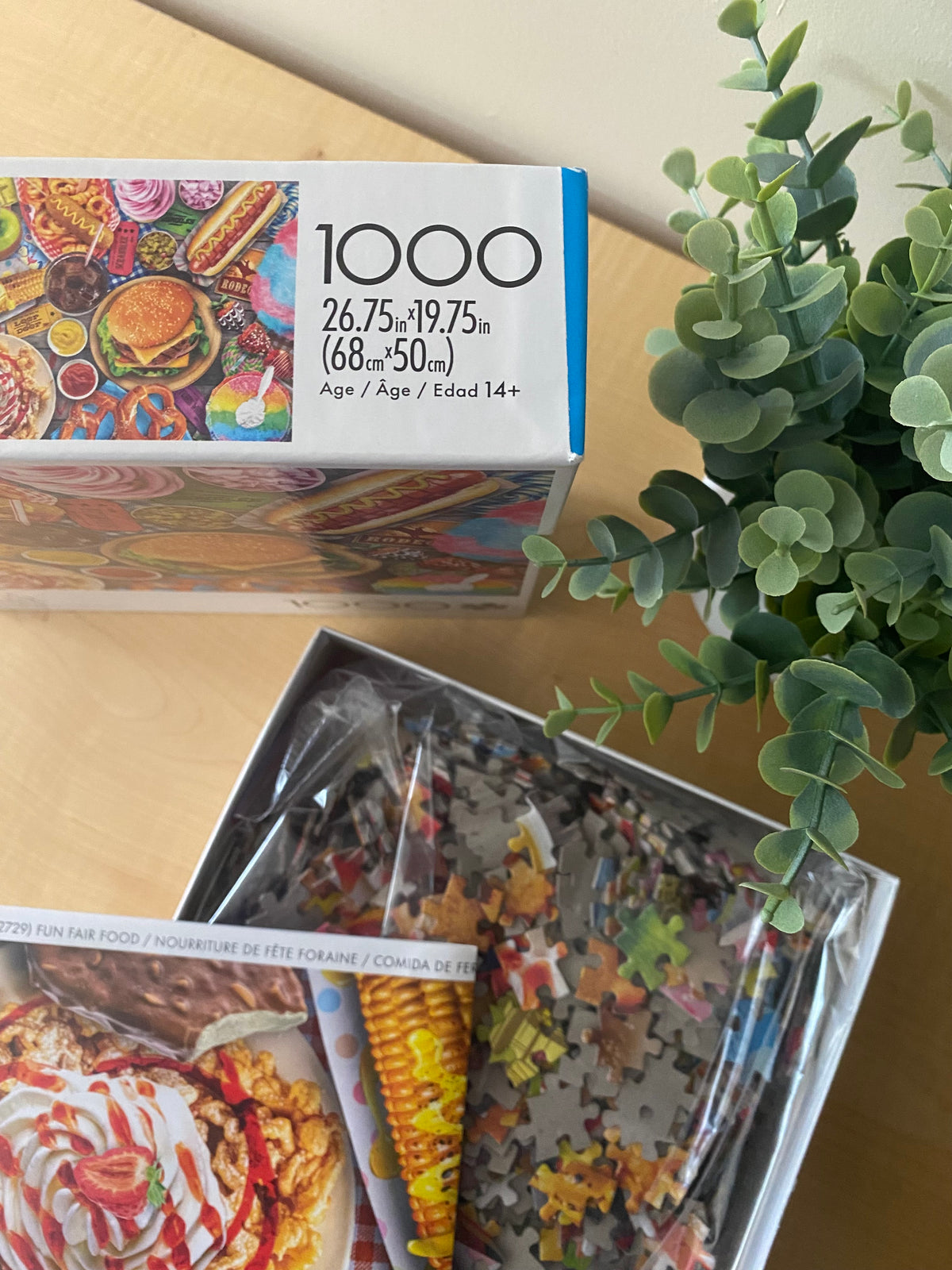 FUN FAIR FOOD PUZZLE - 1000 PIECES