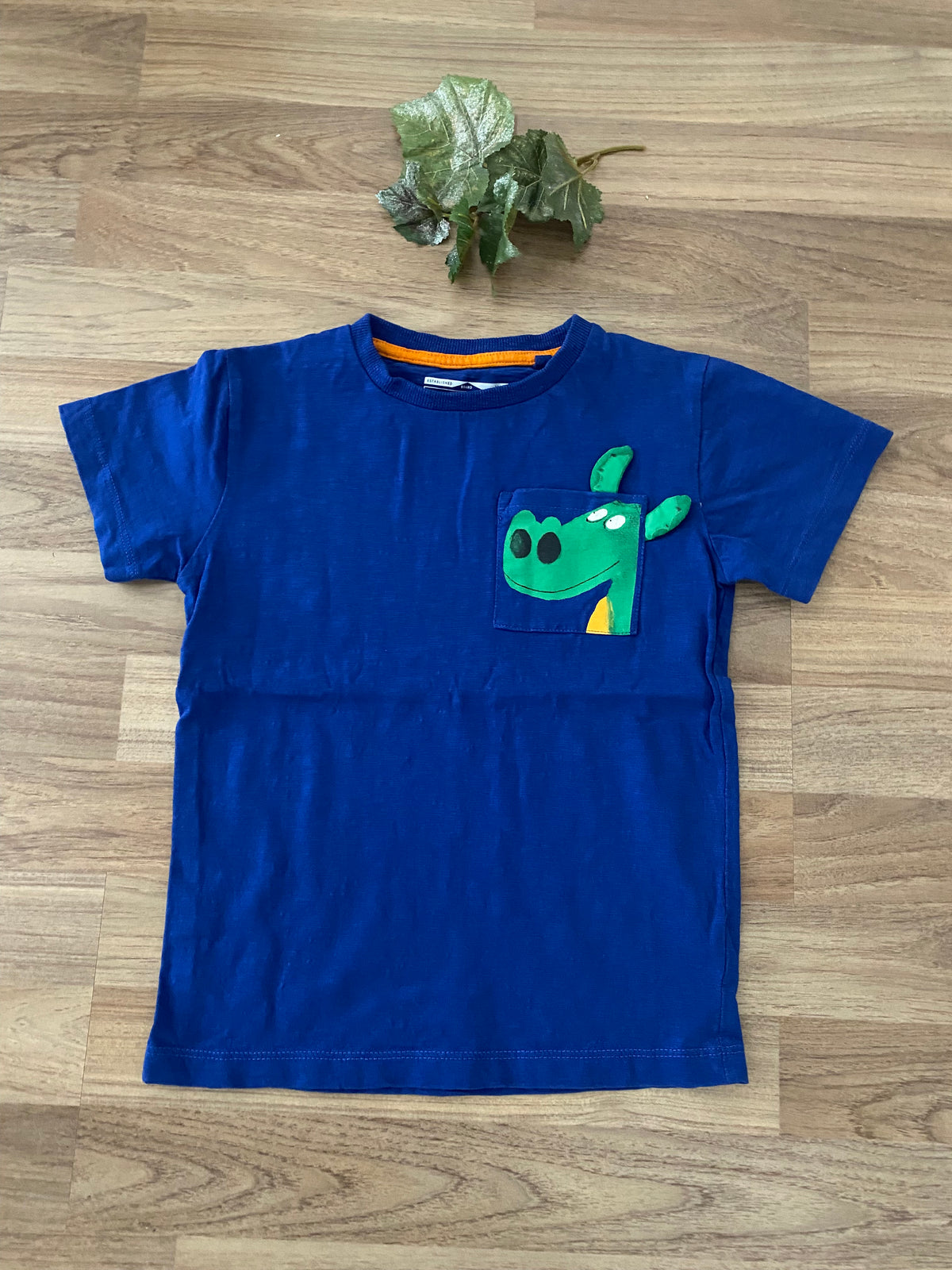 Short Sleeve Graphic Top (Boys Size 5-6)
