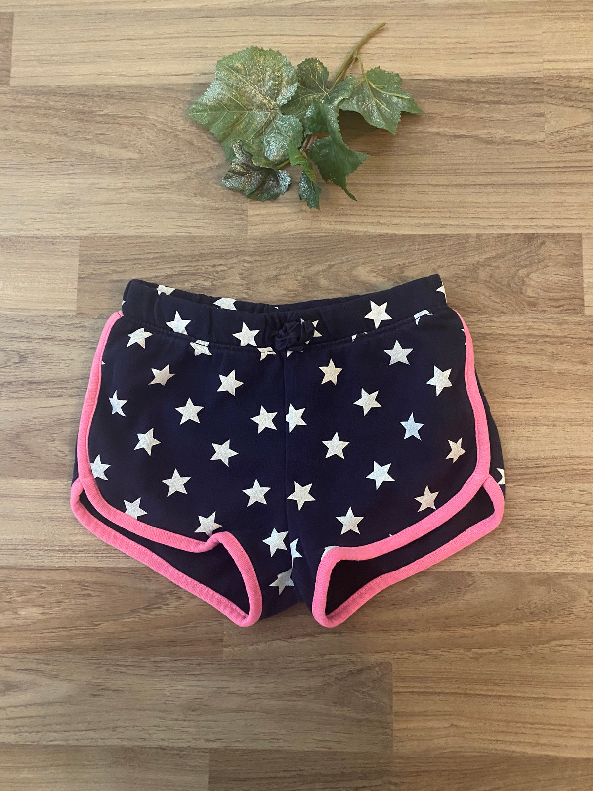 Shorts (Girls Size 4)