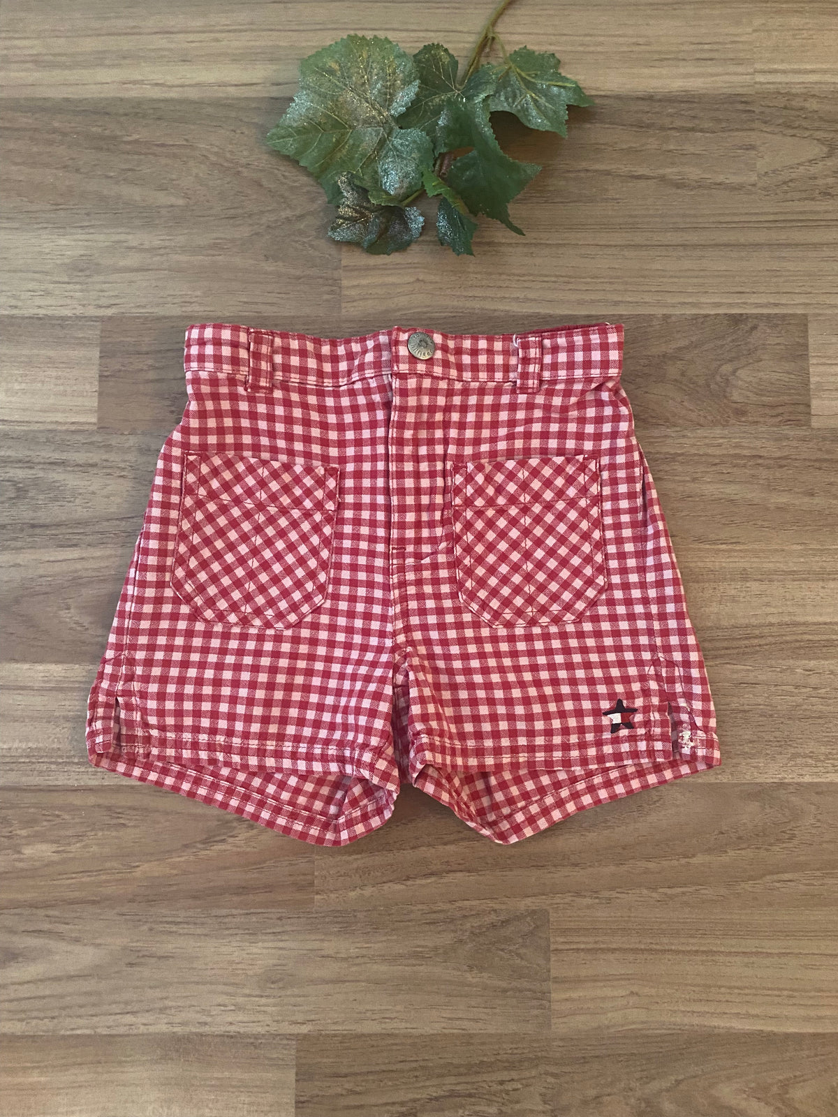 Shorts (Girls size 5)