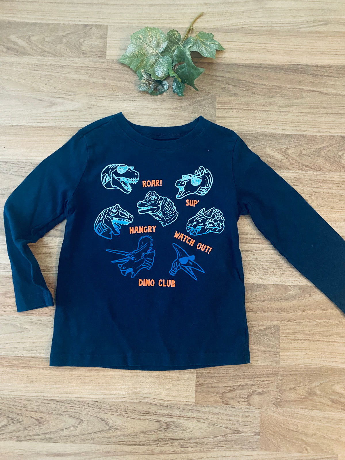 Long Sleeve Graphic Top (Boys Size 4)