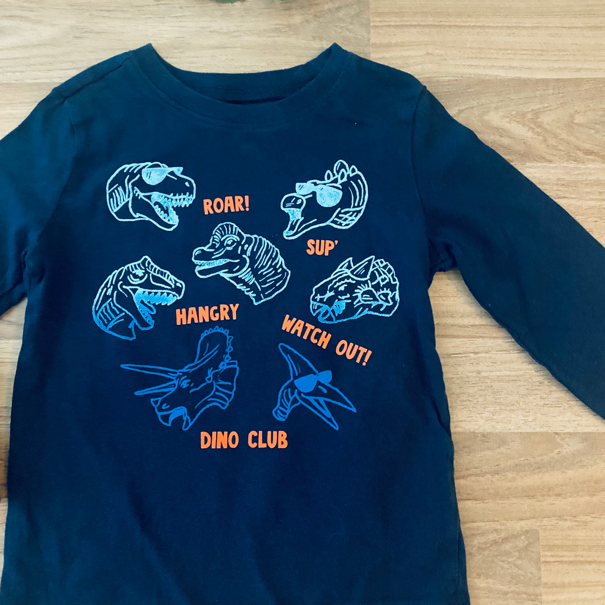 Long Sleeve Graphic Top (Boys Size 4)