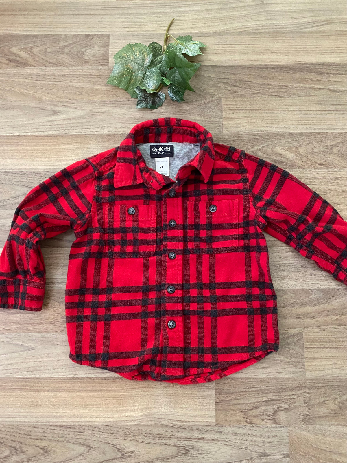 Full Button Up Shirt (Boys Size 2T)