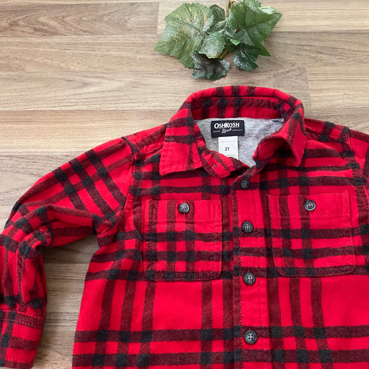 Full Button Up Shirt (Boys Size 2T)