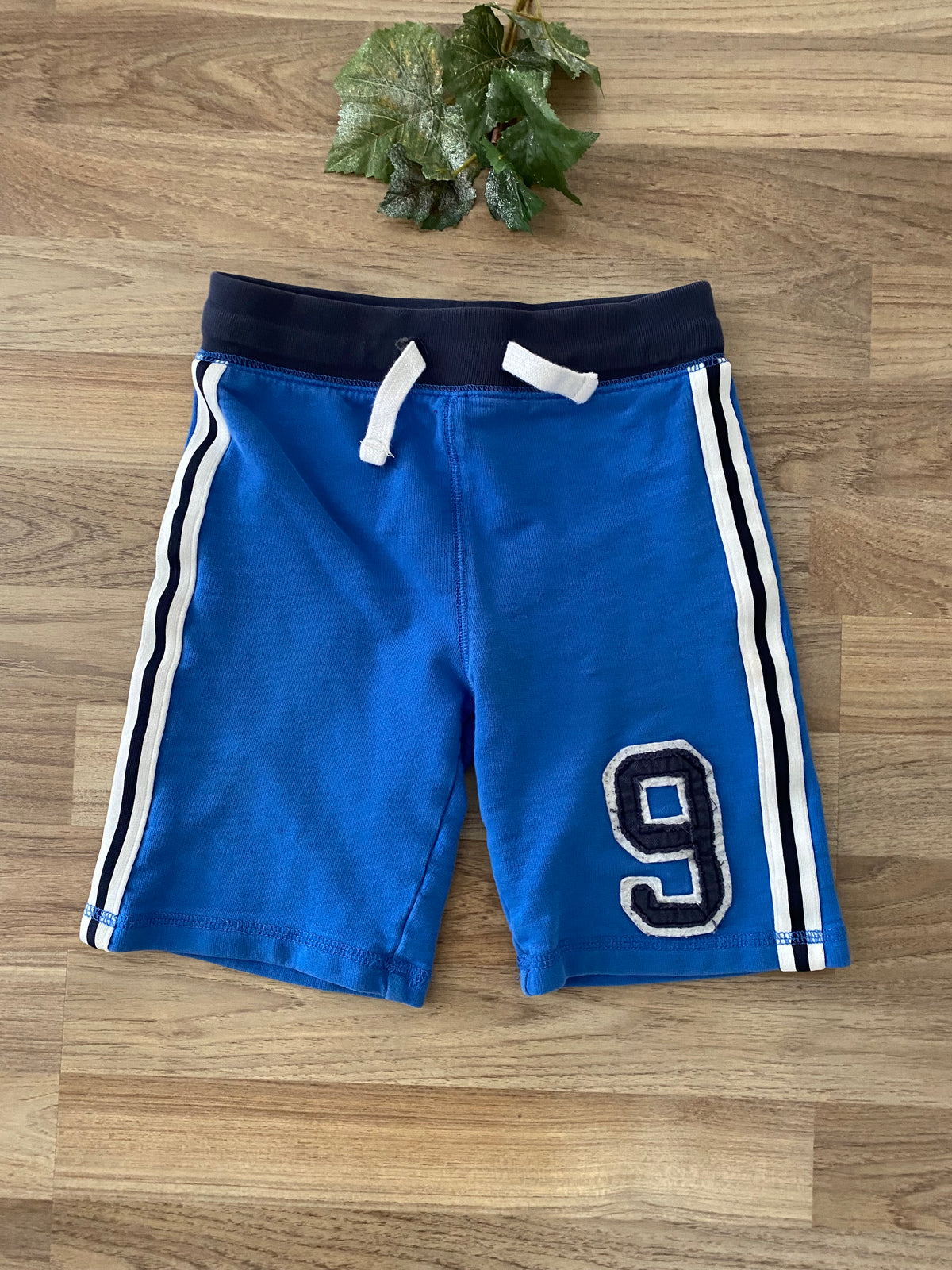 Shorts (Boys Size 7)