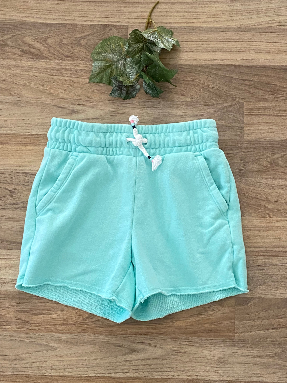 Shorts (Girls Size 10)