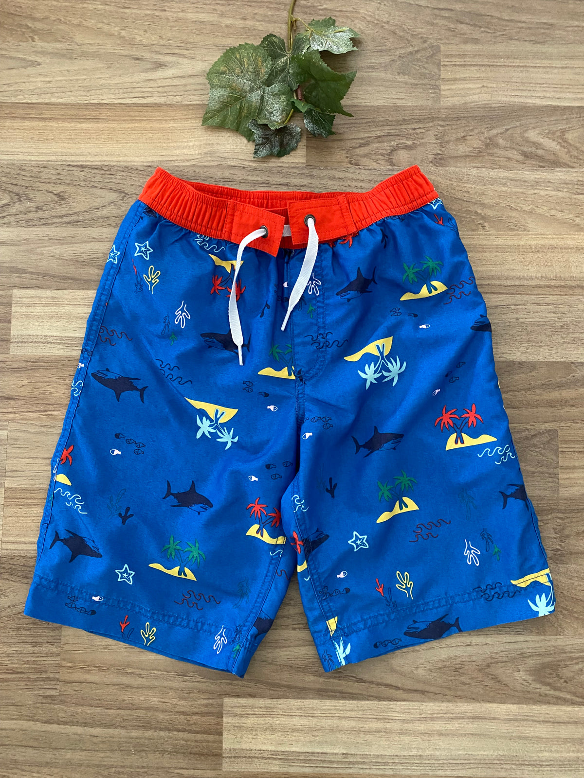 Swim Trunks (Boys Size 8)