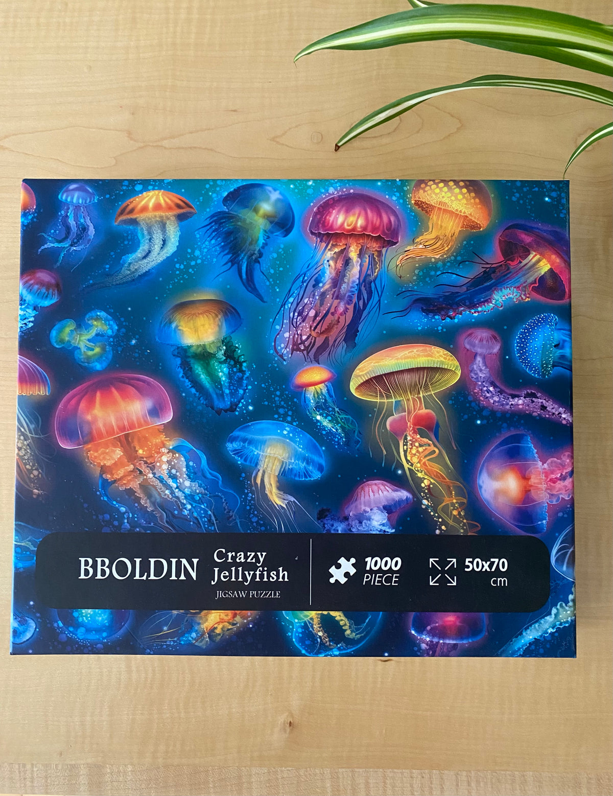 CRAZY JELLYFISH PUZZLE