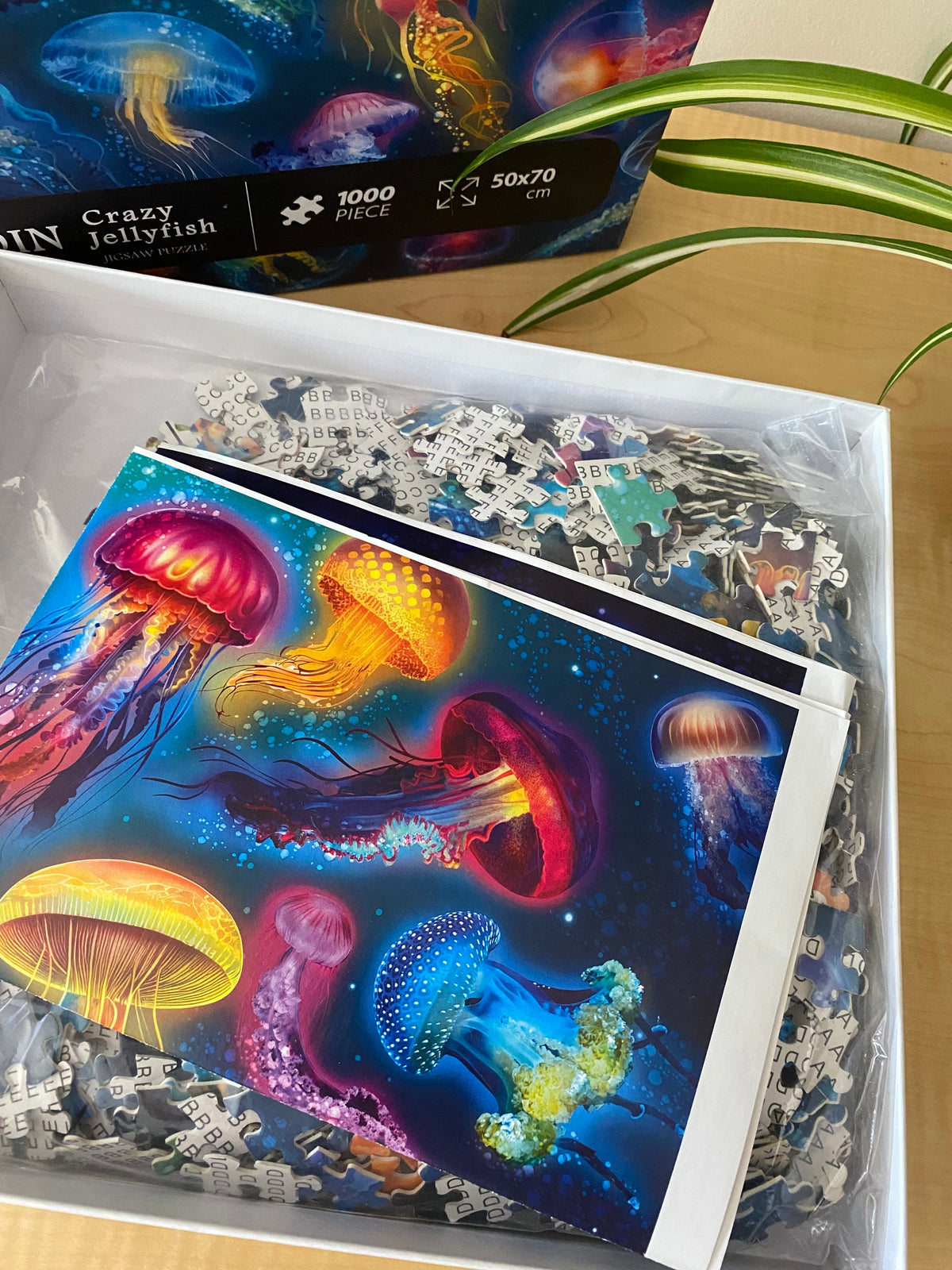 CRAZY JELLYFISH PUZZLE