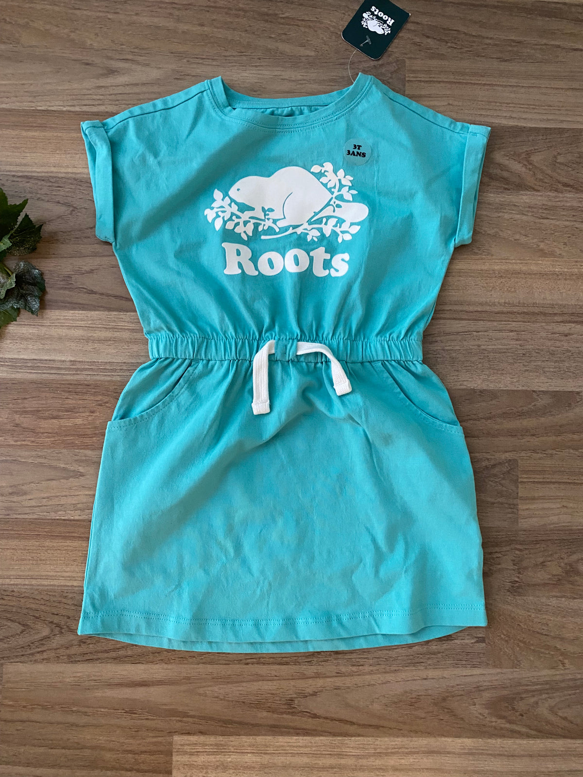 Dress (Girls Size 3)