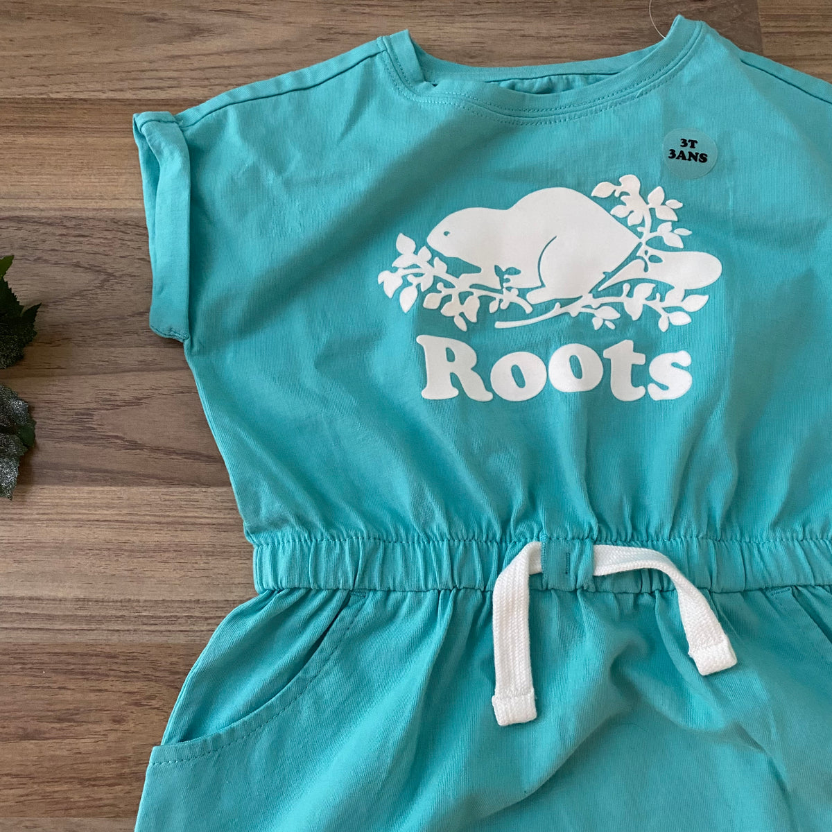 Dress (Girls Size 3)