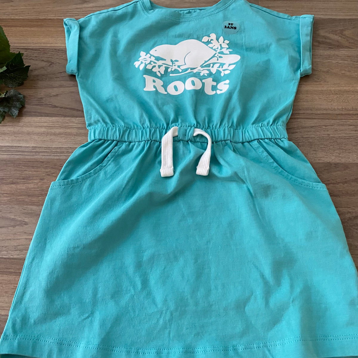 Dress (Girls Size 3)
