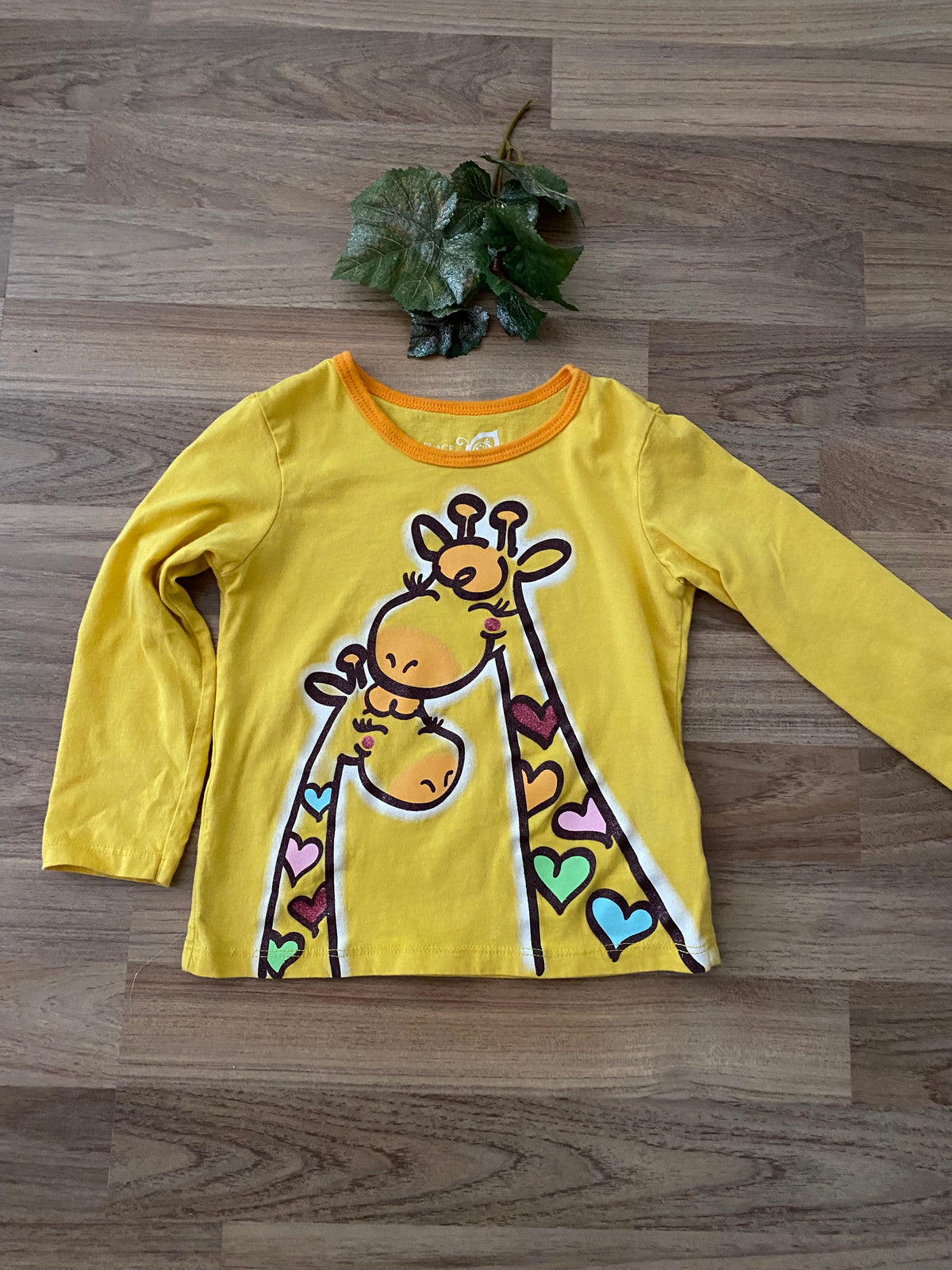 Long Sleeve Graphic Top (Girls Size 3)