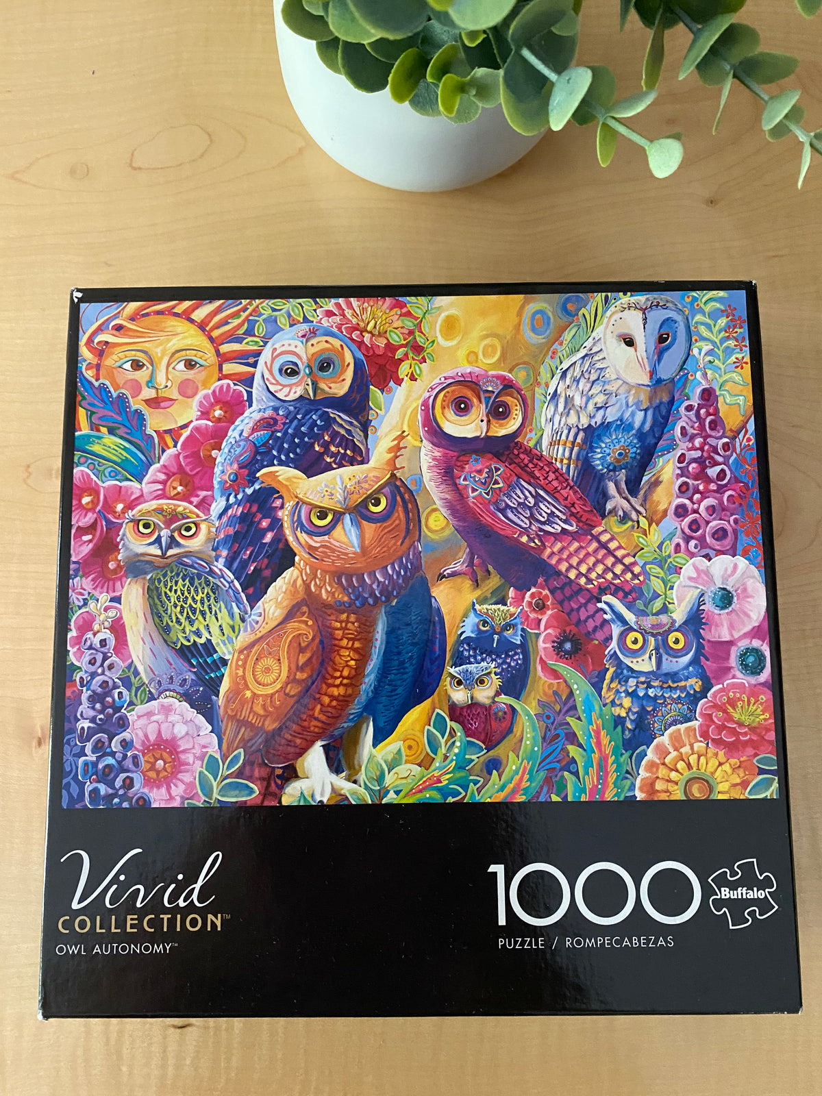 OWL AUTONOMY PUZZLE