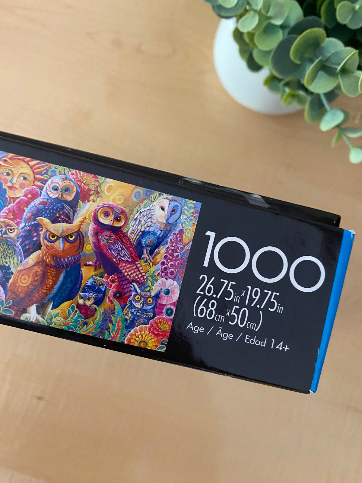 OWL AUTONOMY PUZZLE