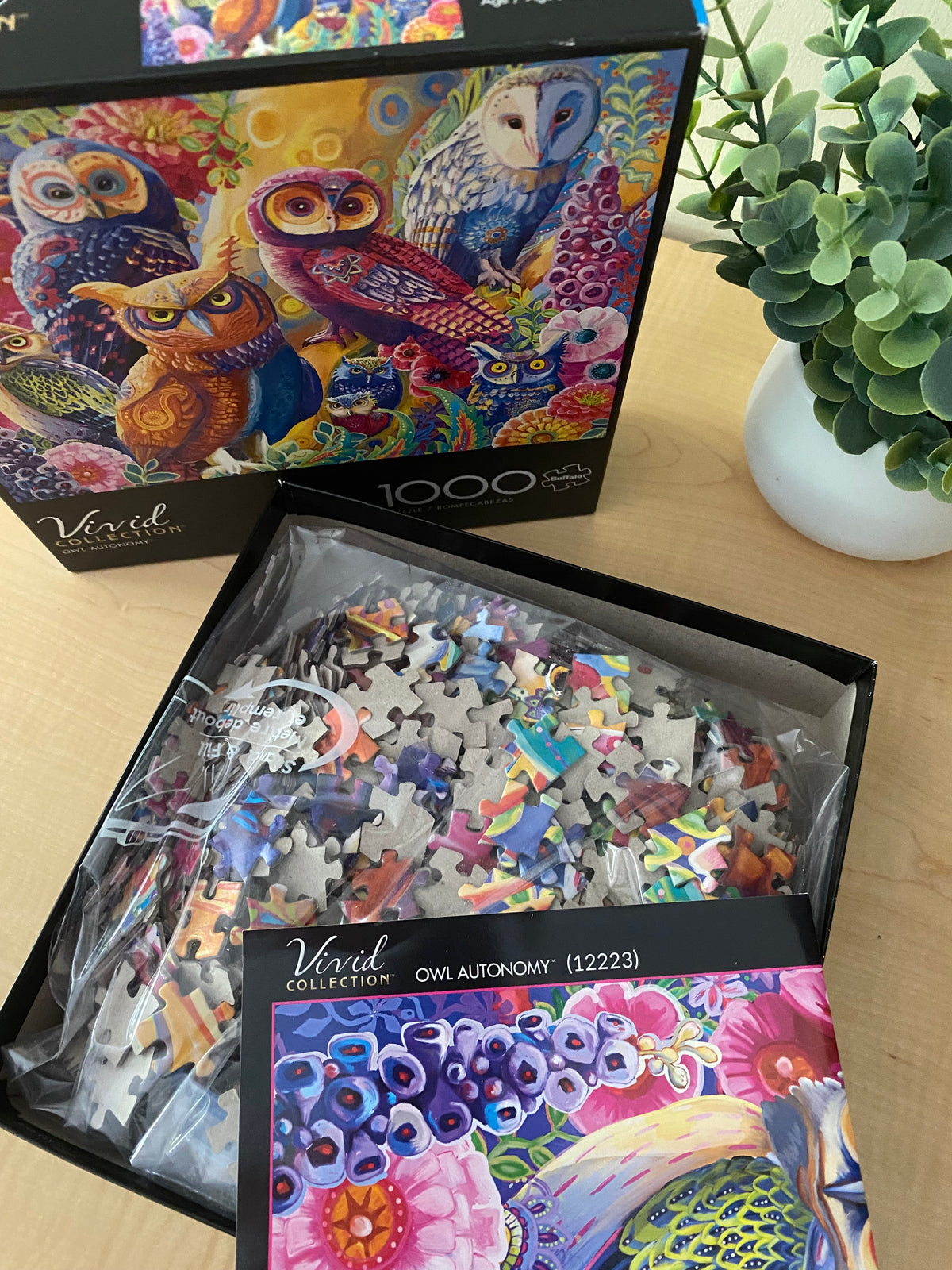 OWL AUTONOMY PUZZLE