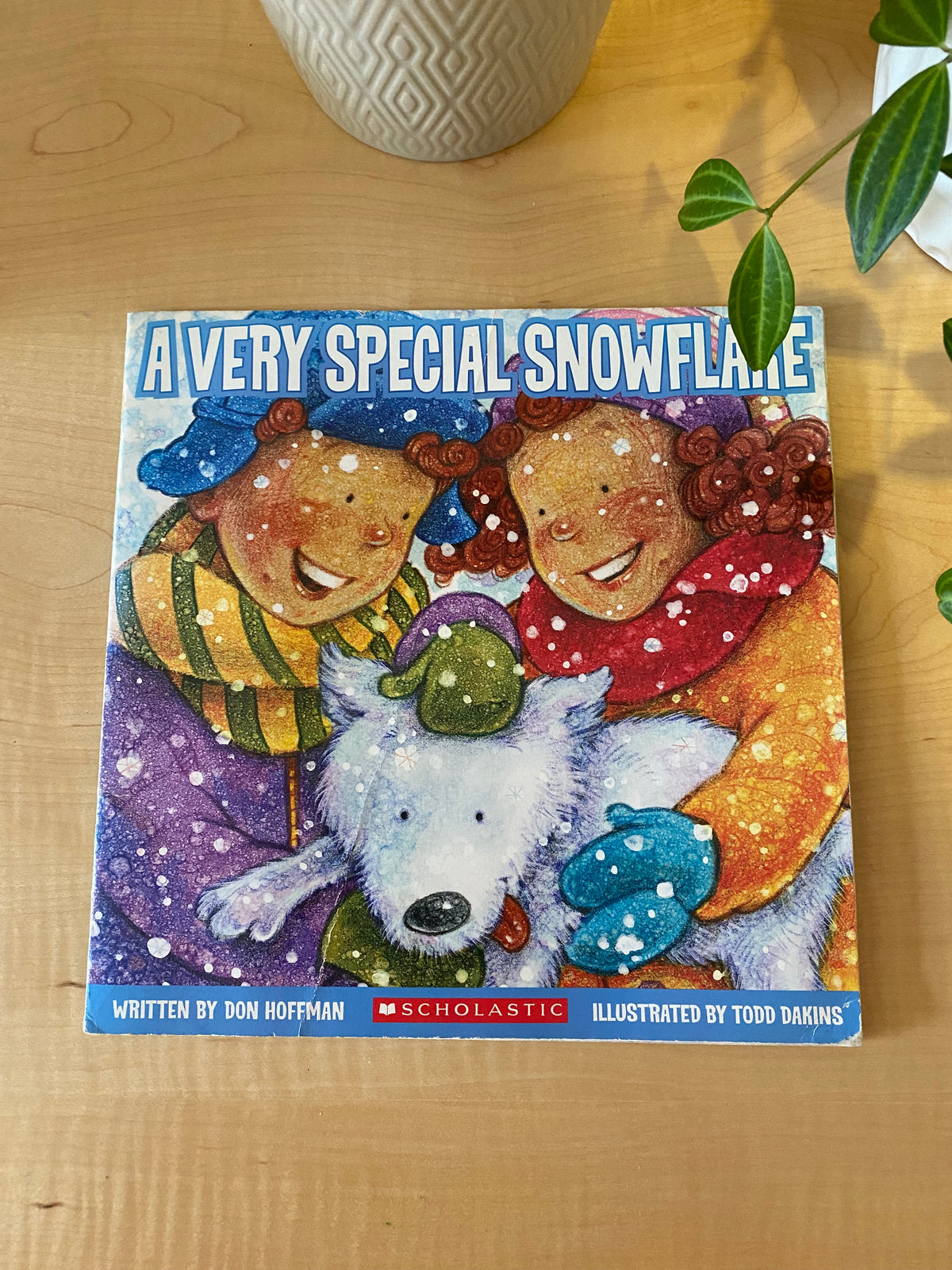 Book - A Very Special Snowflake