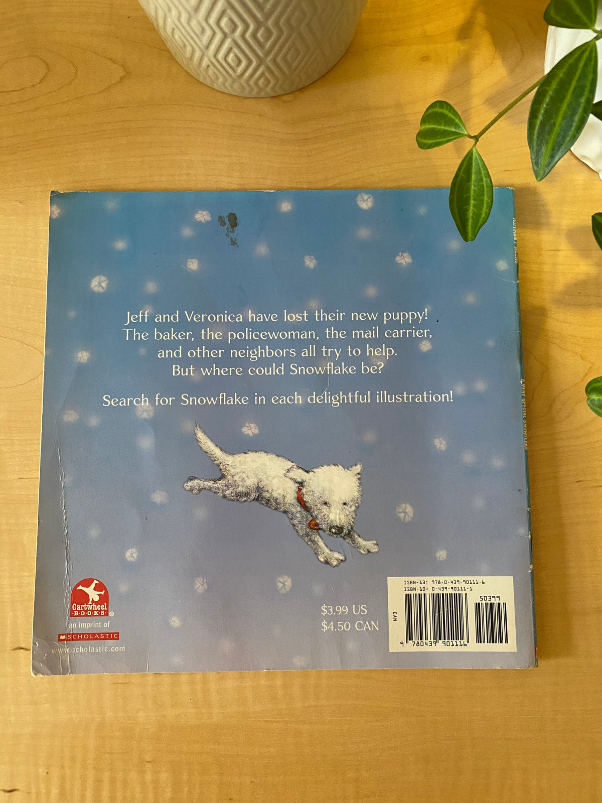 Book - A Very Special Snowflake