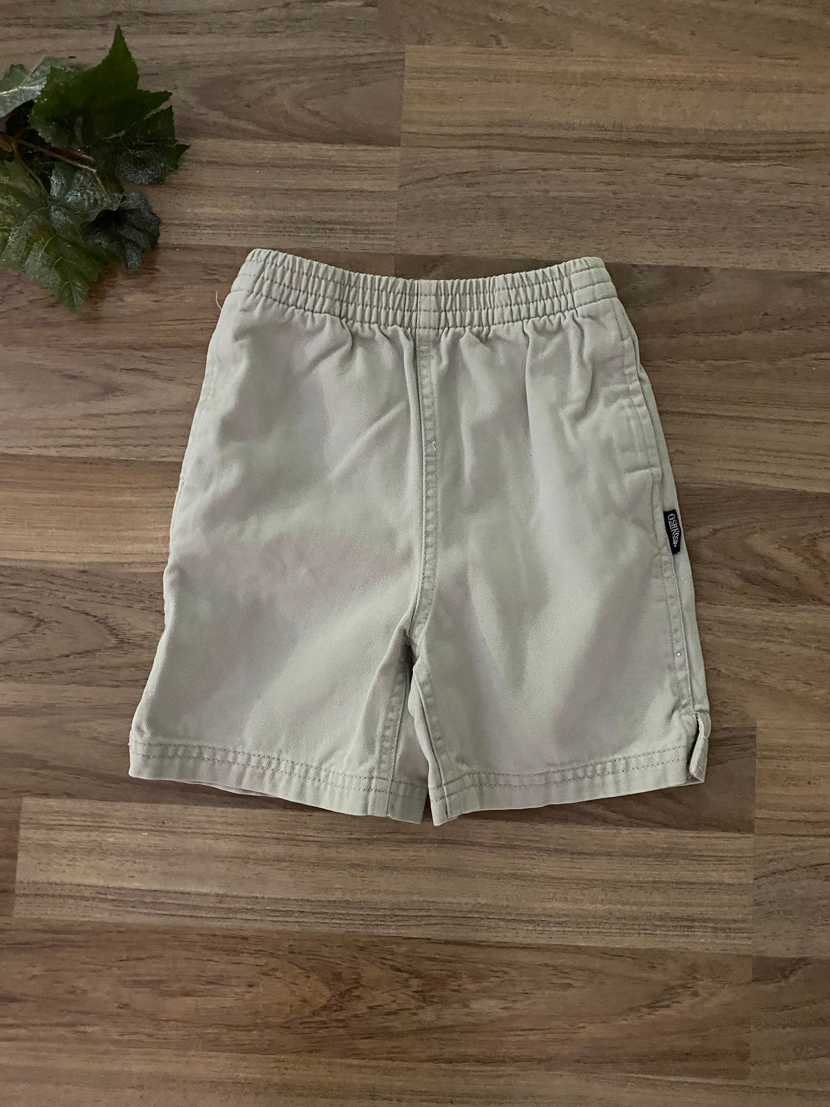 Shorts (Boys Size 18M)