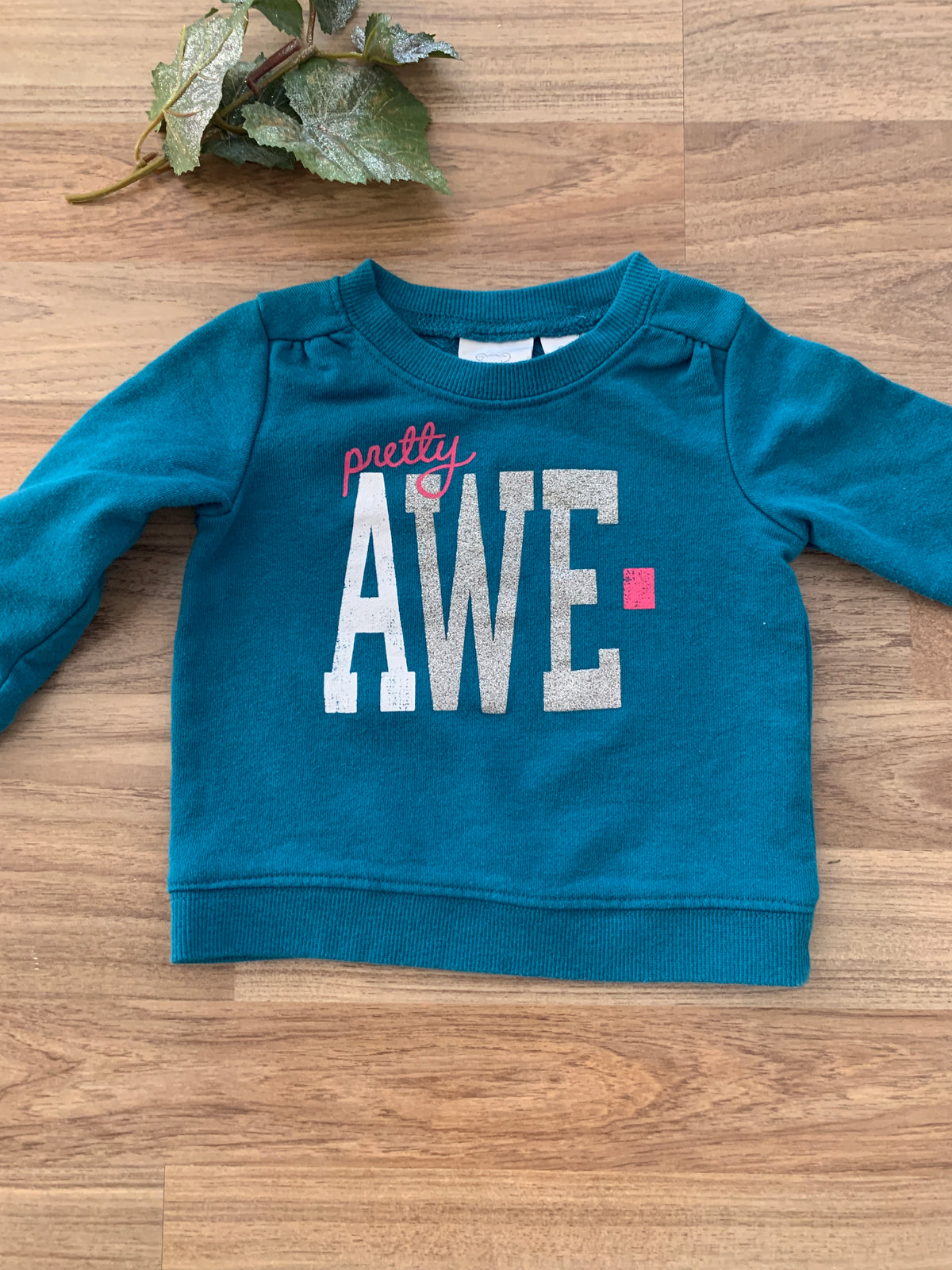 Long Sleeve Graphic Sweater (Girls Size 6-9M)