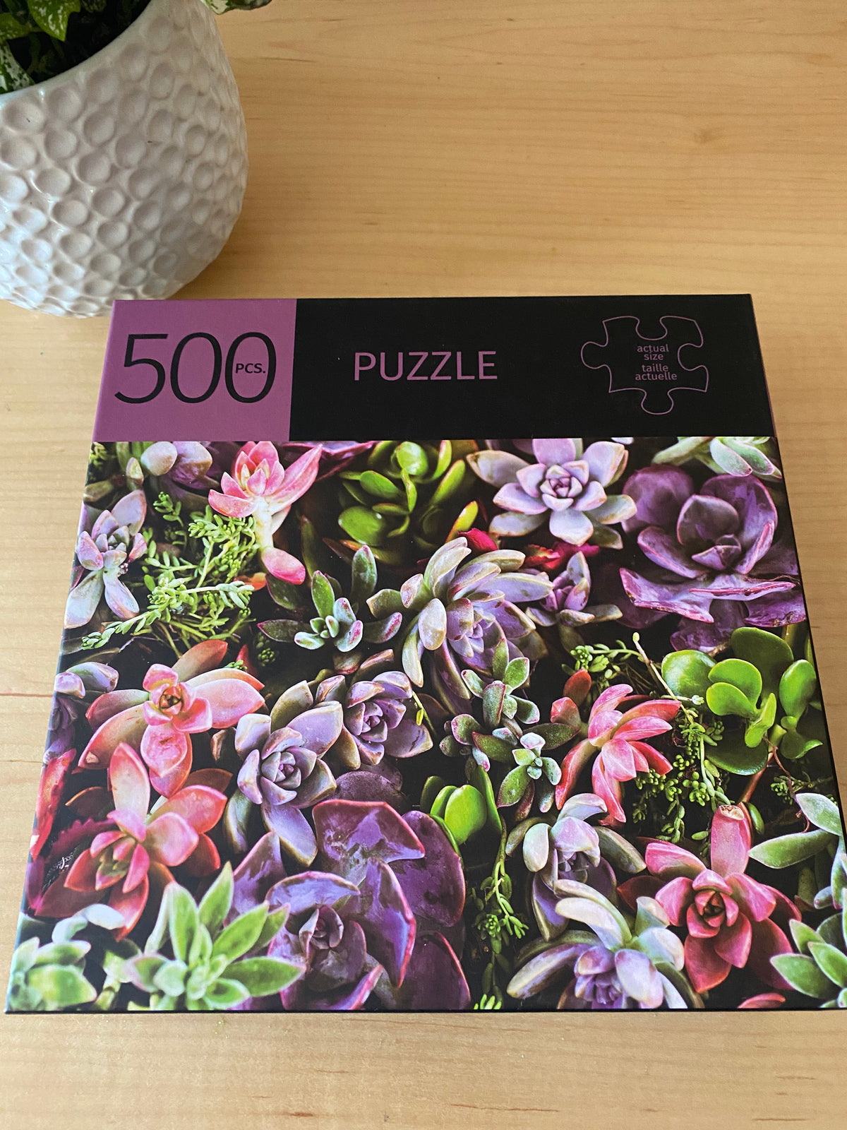 Giftcraft Jigsaw Succulent Puzzle