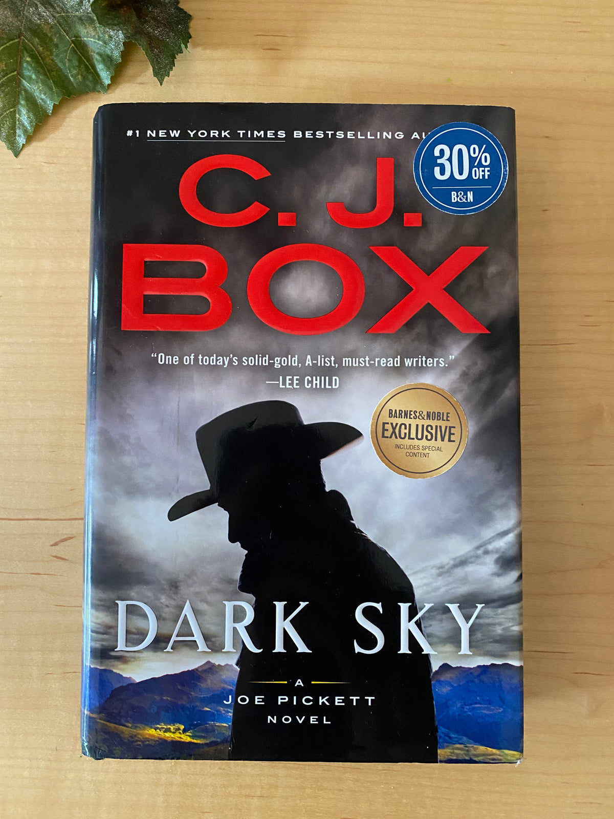 Book - Dark Sky