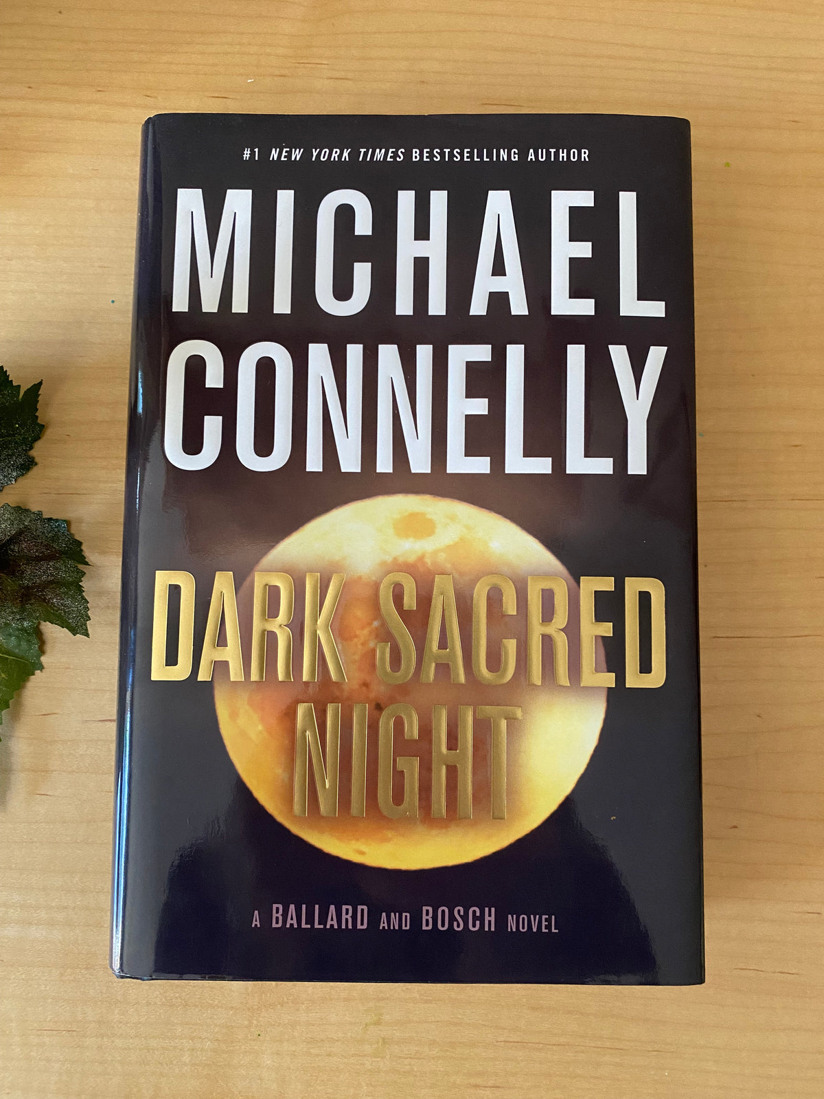 Book - Dark Sacred Night