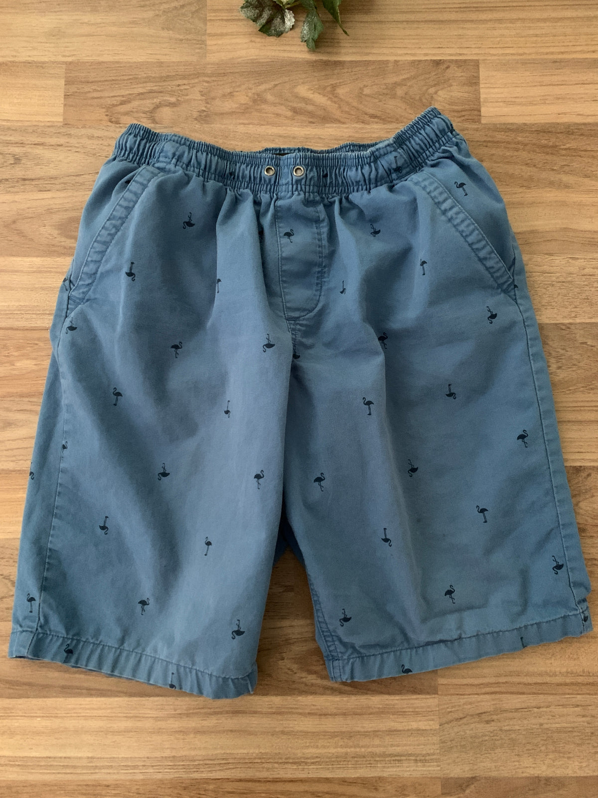 Shorts (Boys Size 14-16)